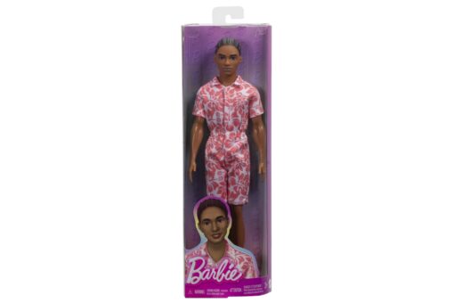 Barbie model Ken - overal