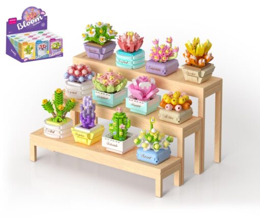 Stavebnice mini KOCO Sukulent v květináči plast mix druhů v krabičce 8x12x4cm 12ks v boxu