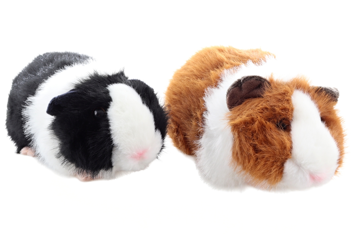 Plyš Morče Eco-friendly