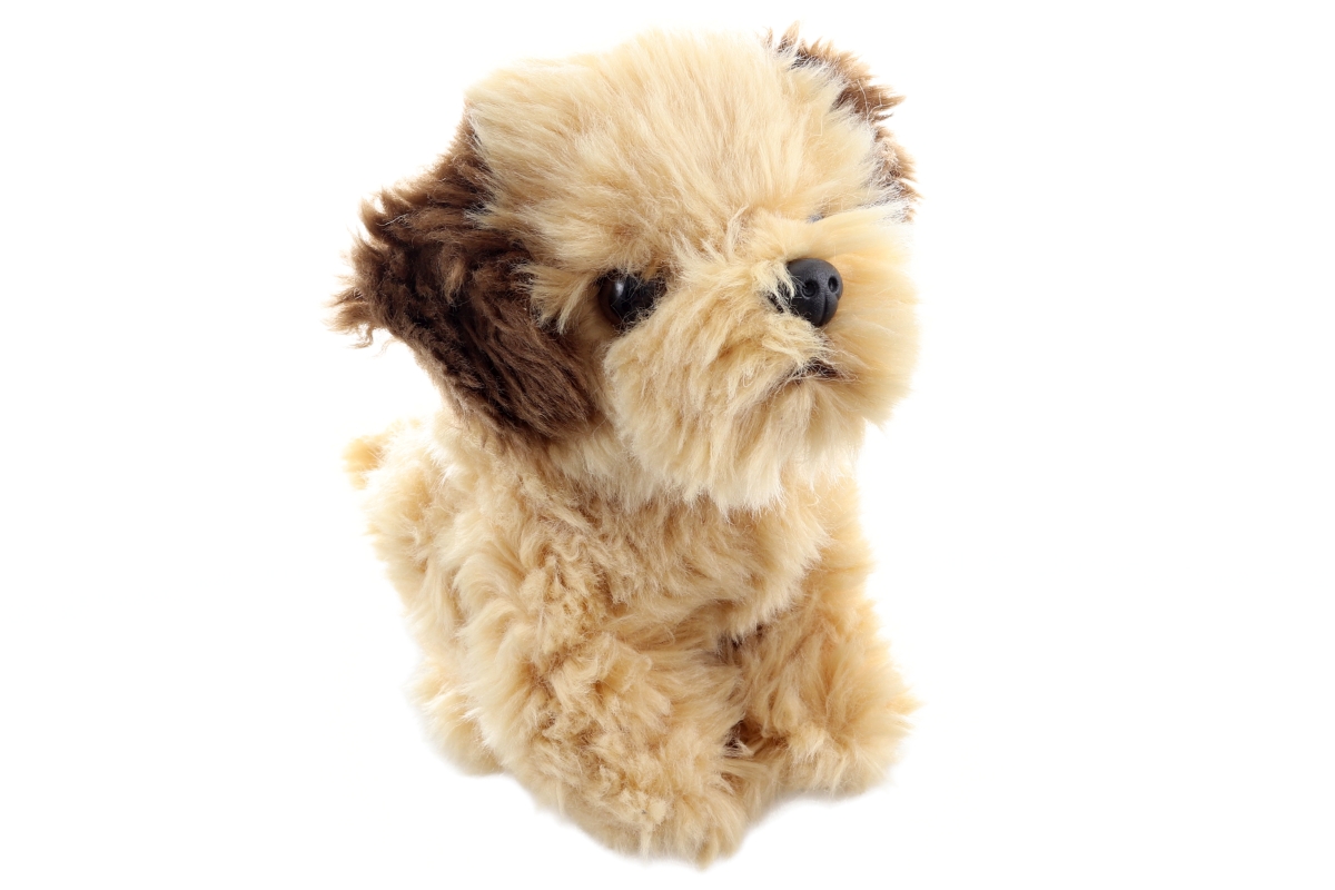 Plyš Shi-tzu Eco-friendly